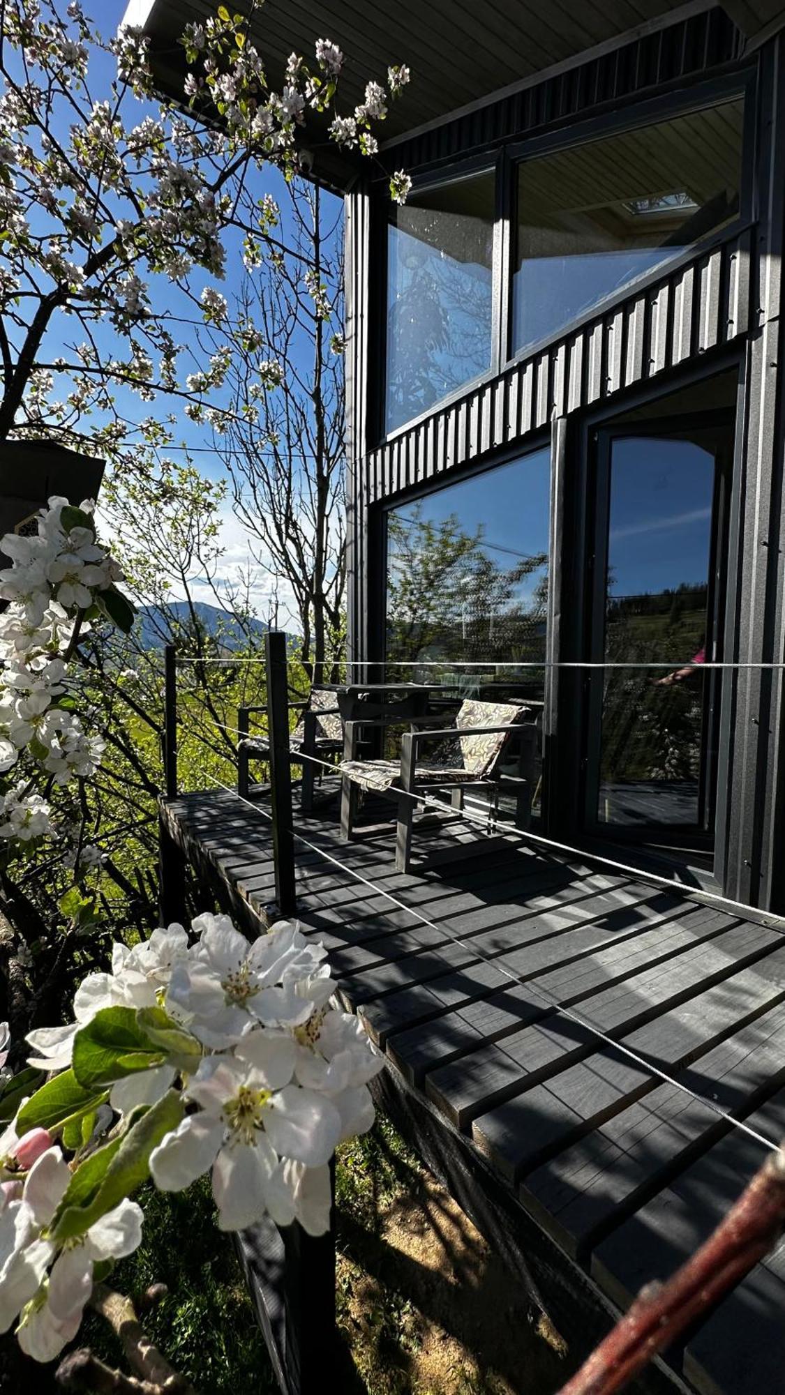 Казковий Дім Та Garden Два Будиночки В Горах З Чаном-Джакузі Slavske Exterior photo