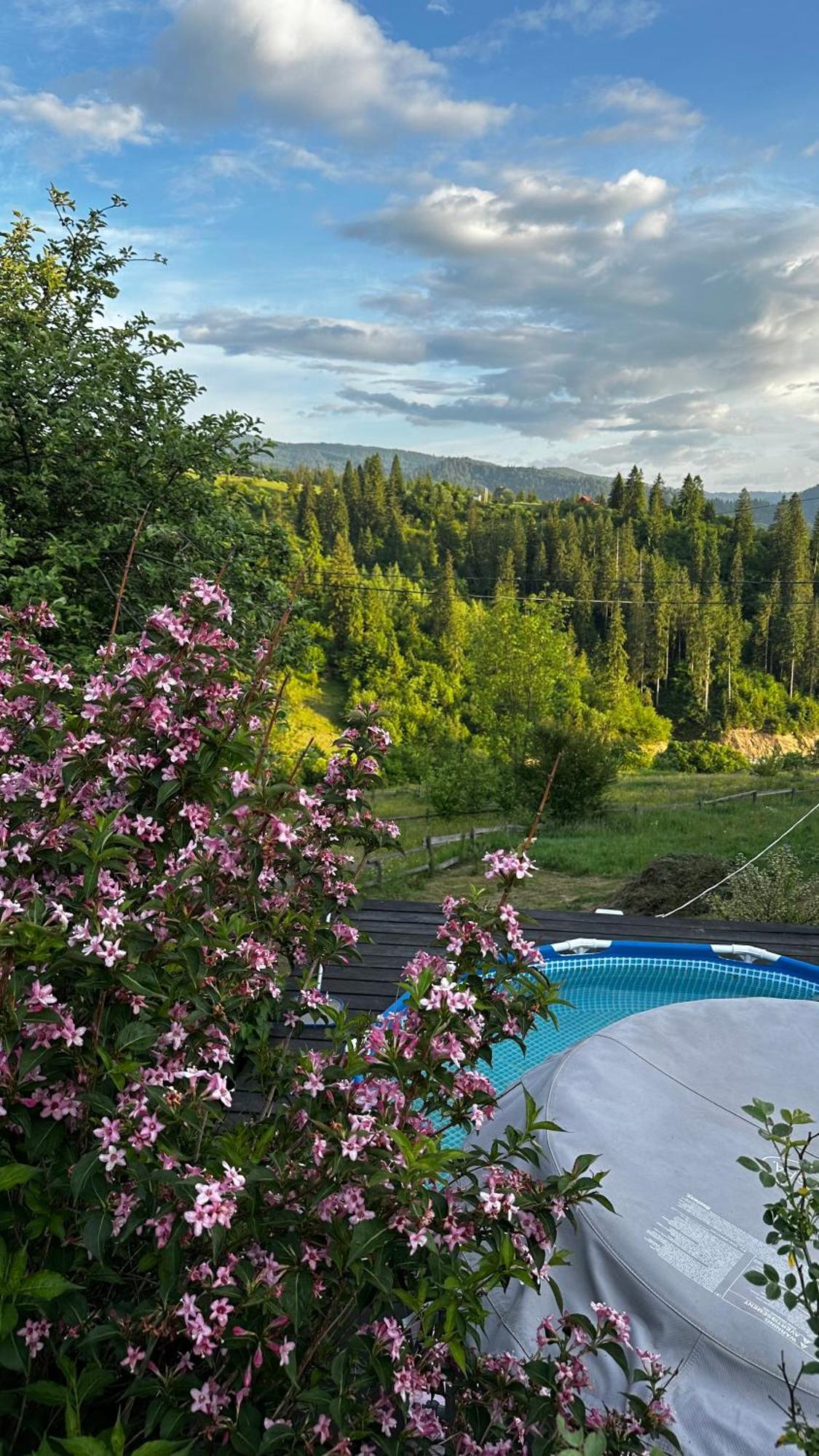 Казковий Дім Та Garden Два Будиночки В Горах З Чаном-Джакузі Slavske Exterior photo